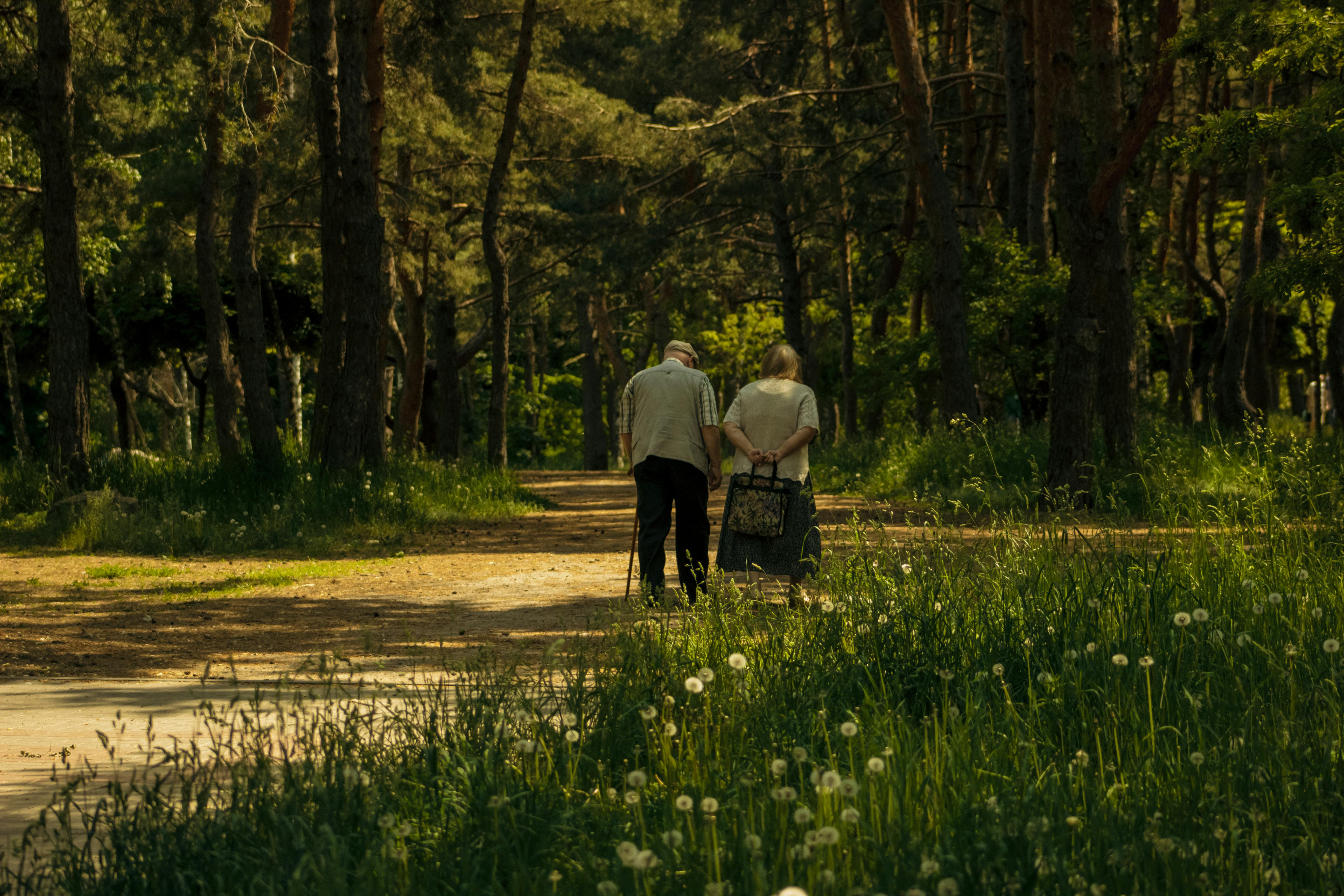 Looking Over My Shoulder: Dementia and Ageing